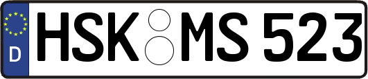 HSK-MS523