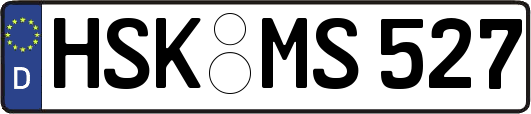 HSK-MS527