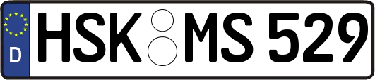 HSK-MS529