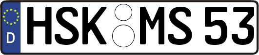 HSK-MS53