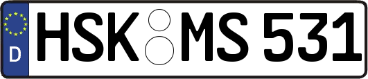 HSK-MS531