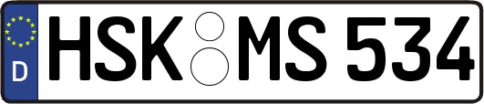 HSK-MS534