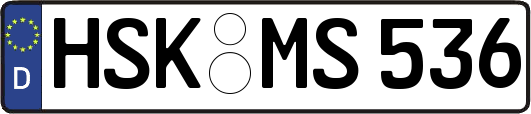 HSK-MS536