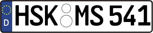 HSK-MS541