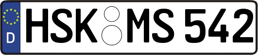 HSK-MS542