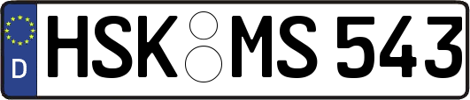 HSK-MS543