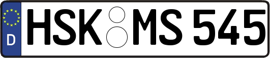 HSK-MS545