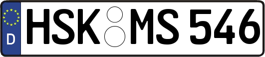 HSK-MS546
