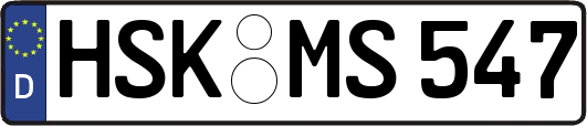 HSK-MS547