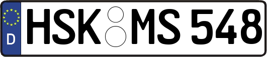 HSK-MS548