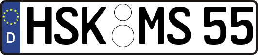 HSK-MS55