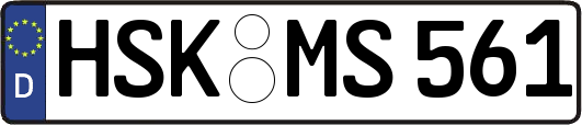 HSK-MS561