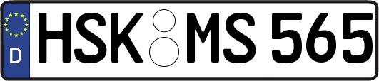 HSK-MS565