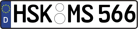 HSK-MS566