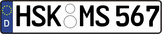 HSK-MS567