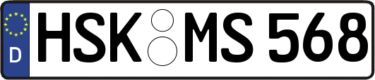 HSK-MS568