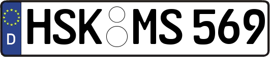 HSK-MS569