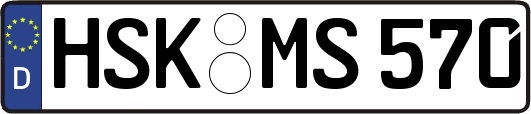 HSK-MS570