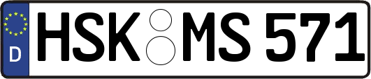HSK-MS571
