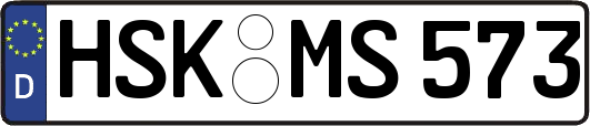 HSK-MS573