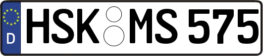 HSK-MS575