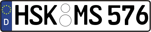 HSK-MS576