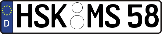 HSK-MS58