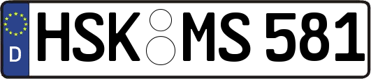 HSK-MS581