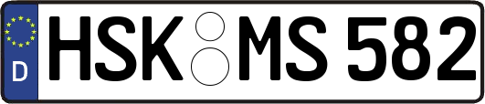 HSK-MS582