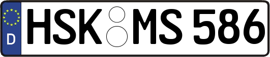 HSK-MS586