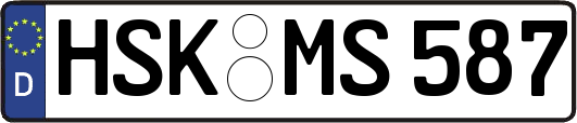 HSK-MS587