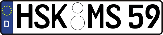 HSK-MS59