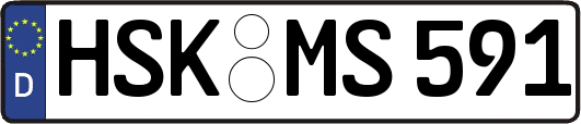 HSK-MS591
