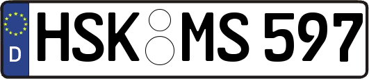 HSK-MS597