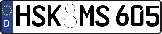 HSK-MS605