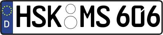 HSK-MS606