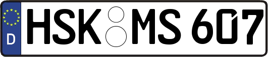 HSK-MS607