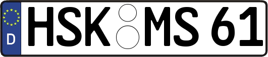 HSK-MS61