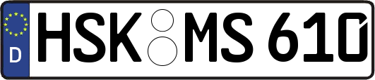 HSK-MS610