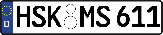 HSK-MS611