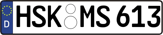 HSK-MS613