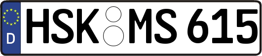 HSK-MS615