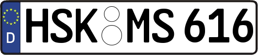 HSK-MS616
