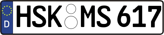 HSK-MS617