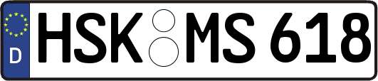 HSK-MS618