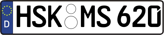 HSK-MS620
