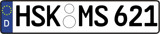 HSK-MS621