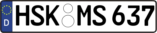 HSK-MS637