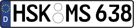 HSK-MS638