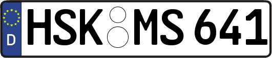 HSK-MS641